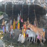 Vraj-Yatra-2014- (375)